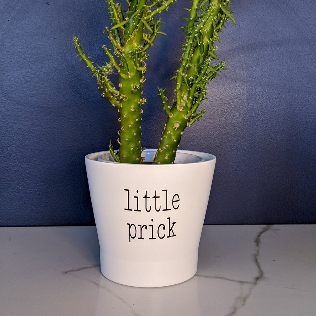 Little Prick| Punny Pot Gift | Cacti Planter | White Ceramic Planter| Plant Pot