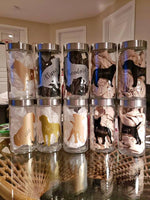 Load image into Gallery viewer, Personalized Doggy/Kitty Treat Jars

