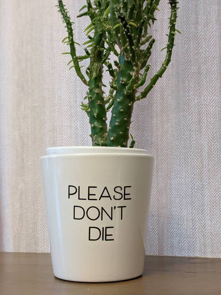 Please don&#39;t die|Indoor pot| Marble Pot| Modern Pot Plant| Inspirational Pot| Planter| Trendy Plant Pot| Punny Plant Pots|Gifts under 20