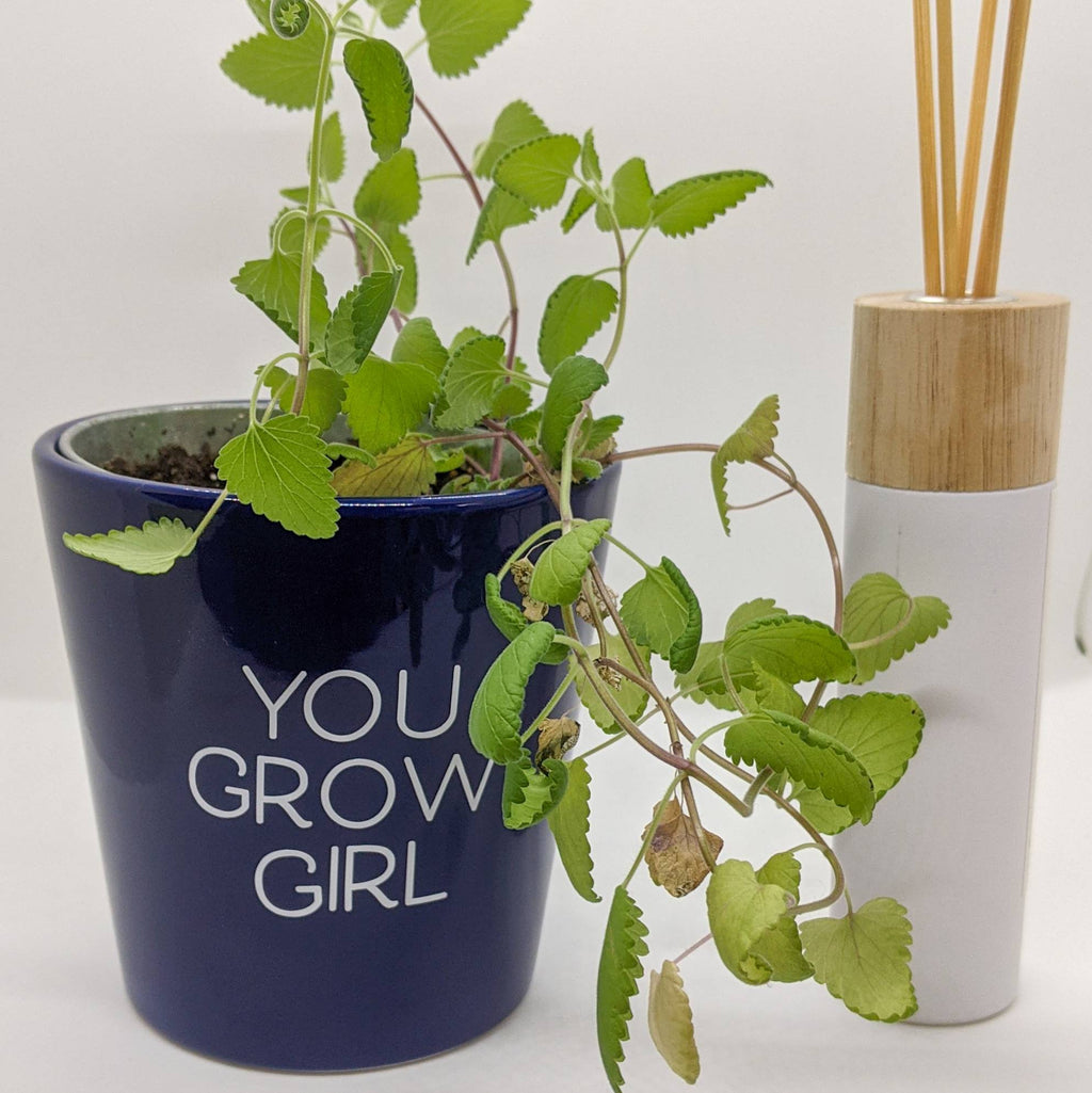 You grow girl|Indoor pot| Marble Pot| Modern Pot Plant| Inspirational Pot| Planter| Trendy Plant Pot| Punny Plant Pots|Gifts under 20