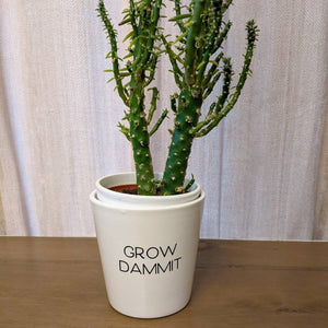 Grow Dammit|Indoor pot| Marble Pot| Modern Pot Plant| Inspirational Pot| Planter| Trendy Plant Pot| Punny Plant Pots|Gifts under 20