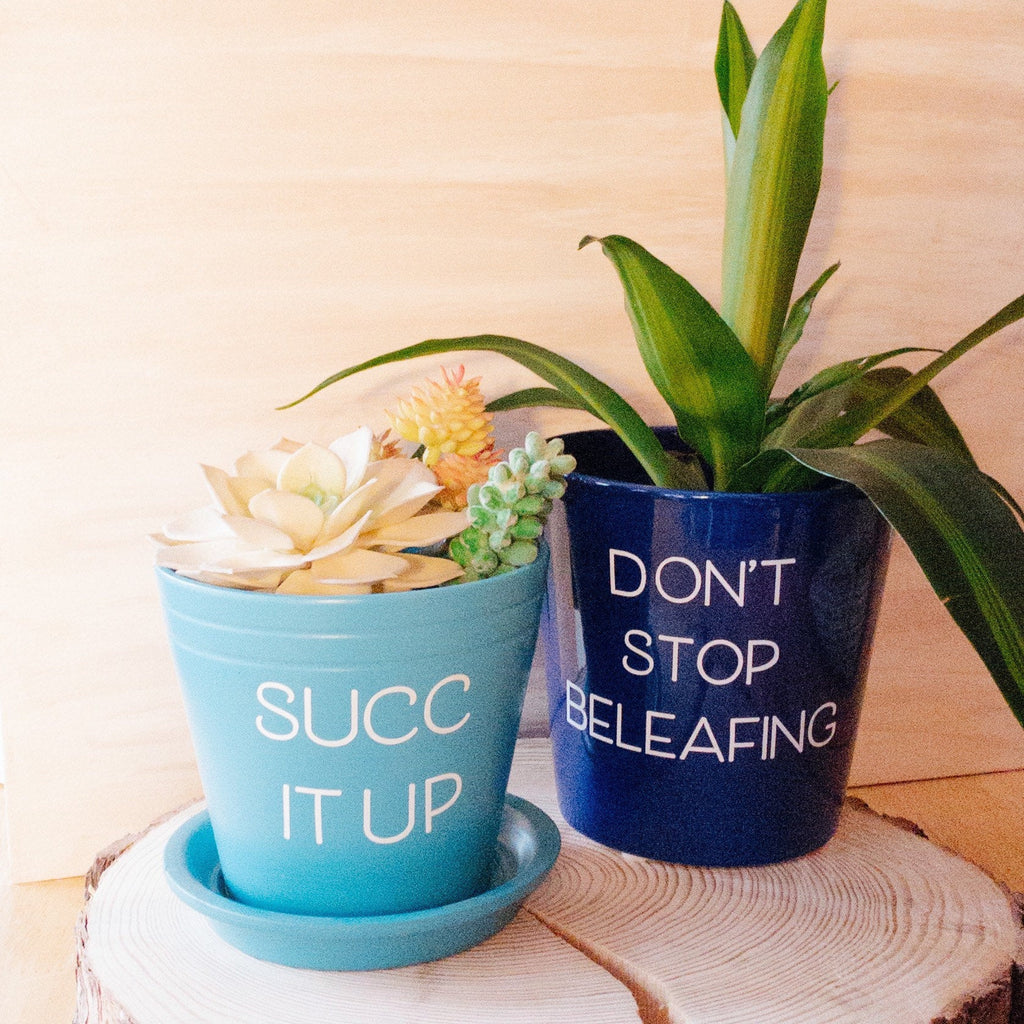 Succ It Up|Indoor pot| Terra Cotta Pot|Modern Pot Plant|Inspirational Pot|Planter|Trendy Plant Pot|Punny Plant Pot|Gifts under 20|PlantLover