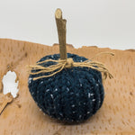 Cargar imagen en el visor de la galería, Knit Pumpkin| Knit Decor| Home Decor| Fall Decor| Halloween| Pumpkin|Farmhouse Decor|Wedding Decor/Rustic Decor/Hand Knitted Pumpkin/Gift

