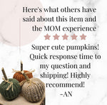 Charger l&#39;image dans la galerie, Knit Pumpkin| Knit Decor| Home Decor| Fall Decor| Halloween| Pumpkin|Farmhouse Decor|Wedding Decor/Rustic Decor/Hand Knitted Pumpkin/Gift
